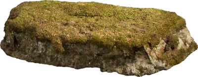 nordic forest ledge rock medium 001 — Скачать