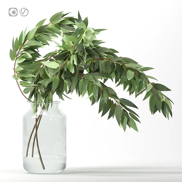 Bouquet 4 — Descargar