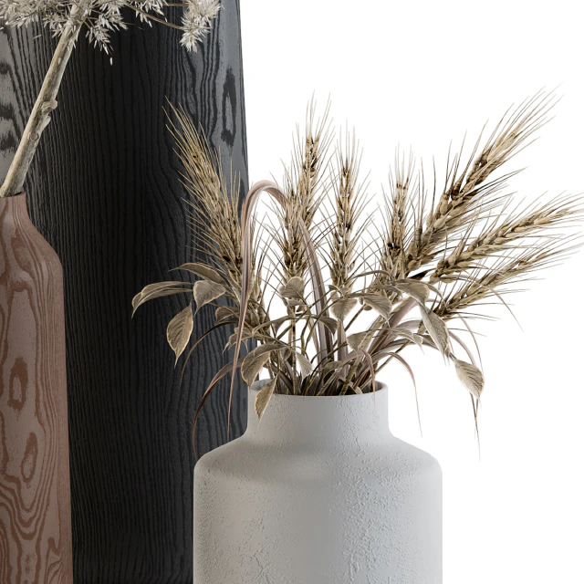 Dry plants 33 - Pampas and Dried Branch — Скачать
