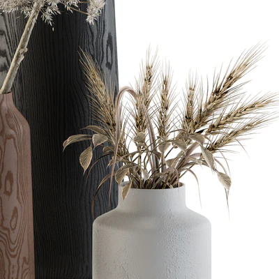 Dry plants 33 - Pampas and Dried Branch — Вид 4