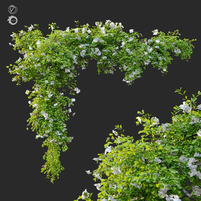 Hanging Plant 12 — Ver 1