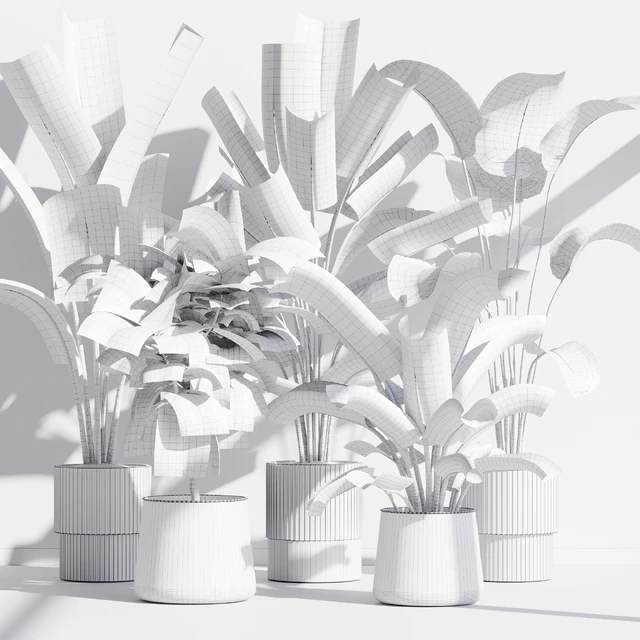 indoor plant set 75 — Скачать