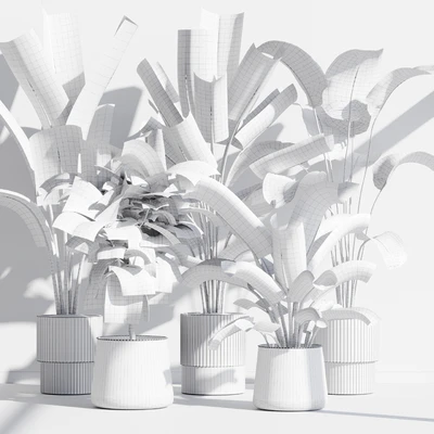 indoor plant set 75 — Вид 3