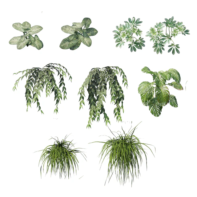 Vertical garden 27 — Descargar