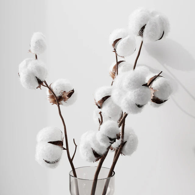 Cotton — Descargar