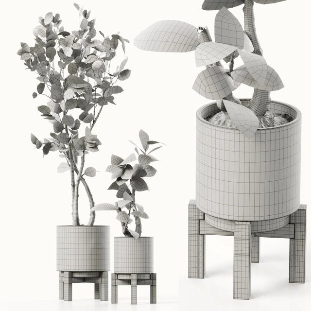 Plants 08 — Скачать