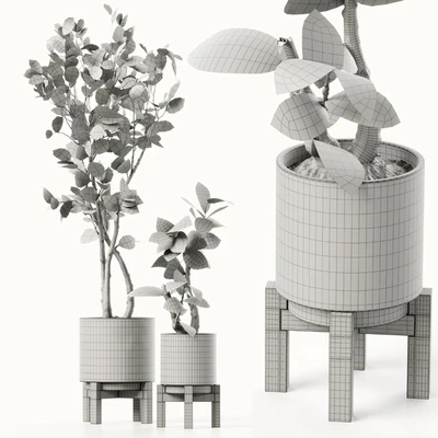 Plants 08 — Вид 2