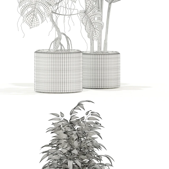Plants collection 117 — Скачать