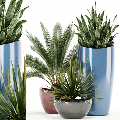 Plants collection 99 Awesomeplanters — Ver 1