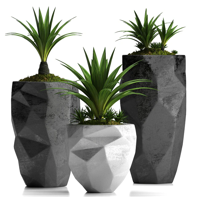 PLANTS 33 — Скачать