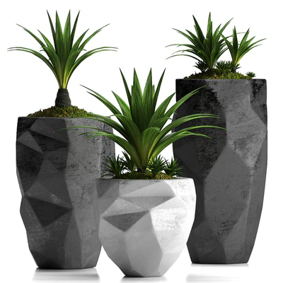 PLANTS 33 — Скачать