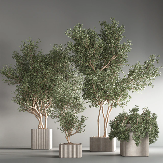 indoor plant set24 — Скачать