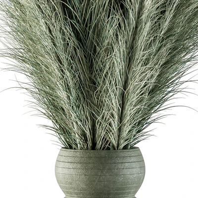 Dry plants 85 - Dried Green Branch — Ver 2