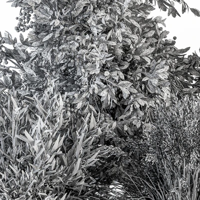 Mixed Plant Bush - Bush Set 49 — Вид 3