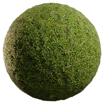 wild grass 064 — Download