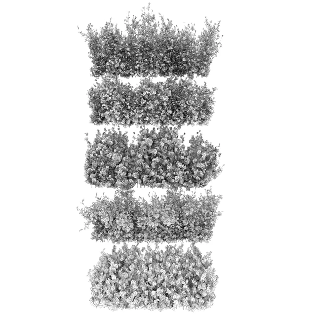 Collection plant vol 309 - bush - outdoor - leaf — Descargar