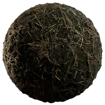 dried grass on moss 003 — Скачать