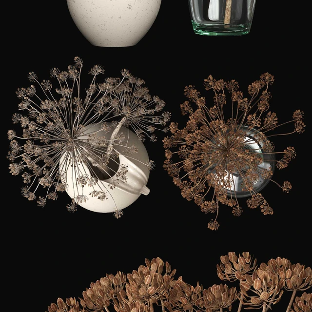 Old heracleum 2 — Download