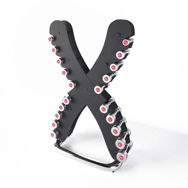 Life Fitness Set of chrome dumbbells with the X-shaped stand — Descargar