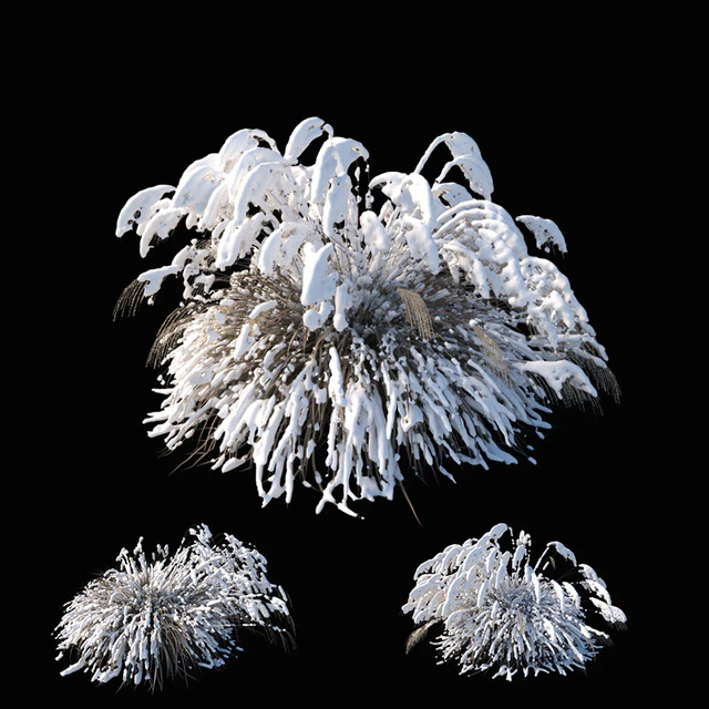 Miscanthus sinensis winter model — Скачать