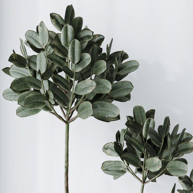 Elastica Abidjan Melany and Mission Olive Tree Vase 18 — Descargar