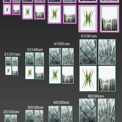 Cactus framed — Вид 2