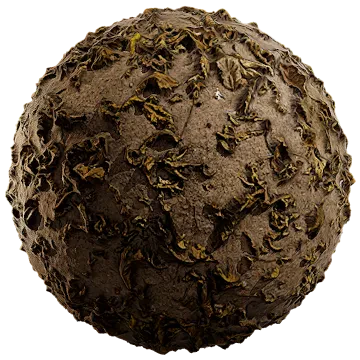 dried leaves 030 — Descargar