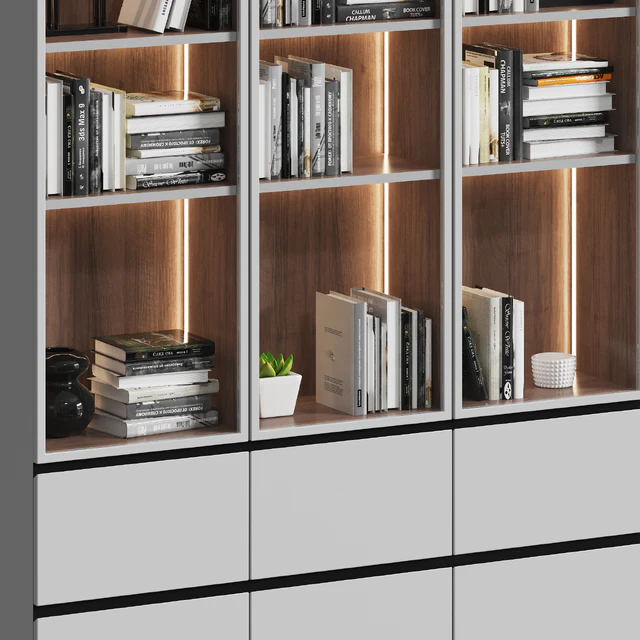 Showcase cabinet with books — Descargar
