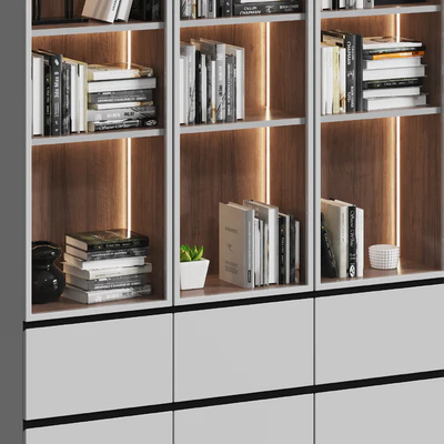 Showcase cabinet with books — Ver 2