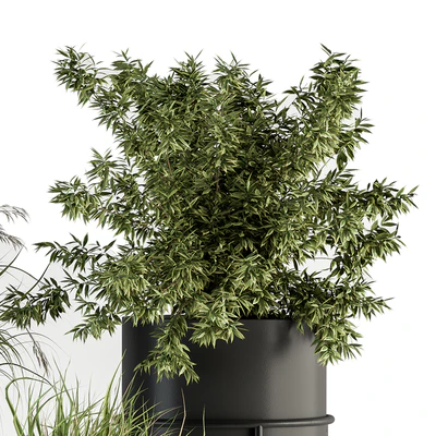 indoor Plant Set 370 - Tree and Plant Set Stand pot — Вид 2