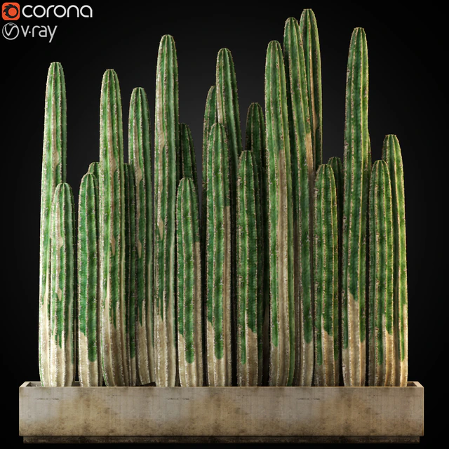 Plants collection 266 — Скачать