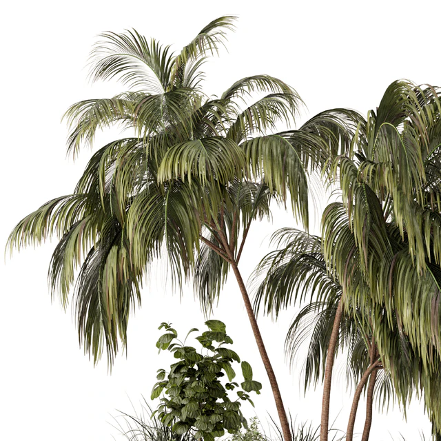 Outdoor Garden set bush and Tree - Garden Set 649 — Descargar