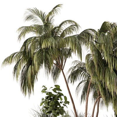 Outdoor Garden set bush and Tree - Garden Set 649 — Ver 3