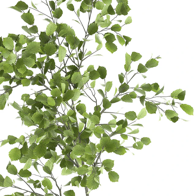 Decorative small Linden tree, Hazel in a rusty metal pot. Set 953. — Descargar
