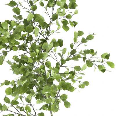 Decorative small Linden tree, Hazel in a rusty metal pot. Set 953. — Ver 2