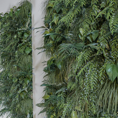Green wall + corner — Ver 2