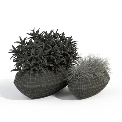 Plants collection 279 Fleurami ROYAL — Ver 3