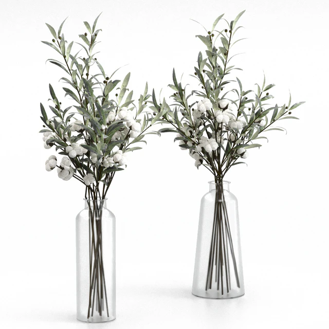 Bouquets of olives and cotton. — Descargar