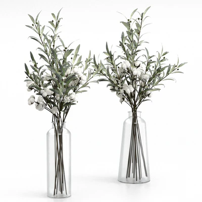 Bouquets of olives and cotton. — Ver 1