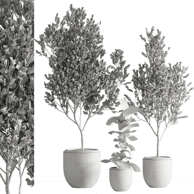indoor plant set 43 — Descargar