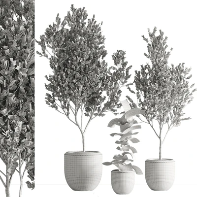 indoor plant set 43 — Ver 3