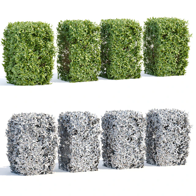 Laurel Hedging Bushes vol 111 — Descargar