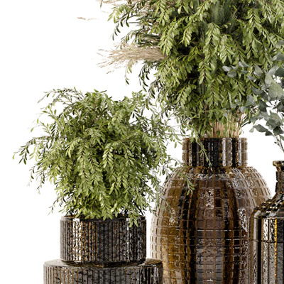 Collection Indoor Plants in Glass Pots - Set 701 — Ver 3