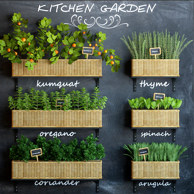 Kitchen garden 3 — Descargar