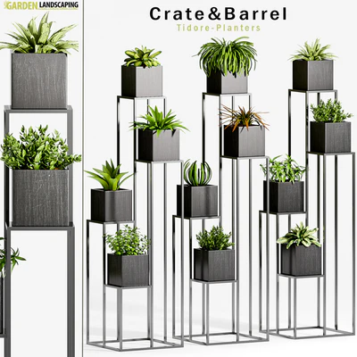 PLANT -33 — Ver 1