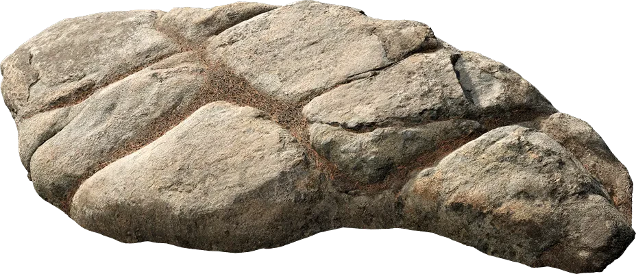 forest rock shelf 003 — Скачать