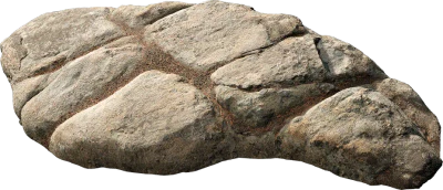 forest rock shelf 003 — Скачать