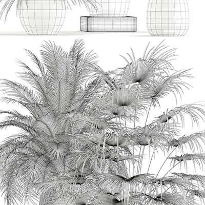 Plants collection 125 — Вид 2