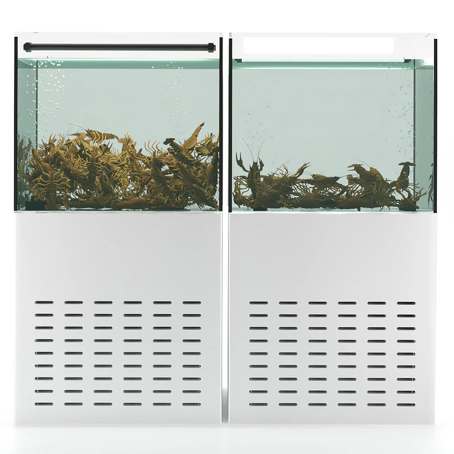 Crayfish aquarium — Descargar