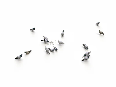 animated pigeons set — download